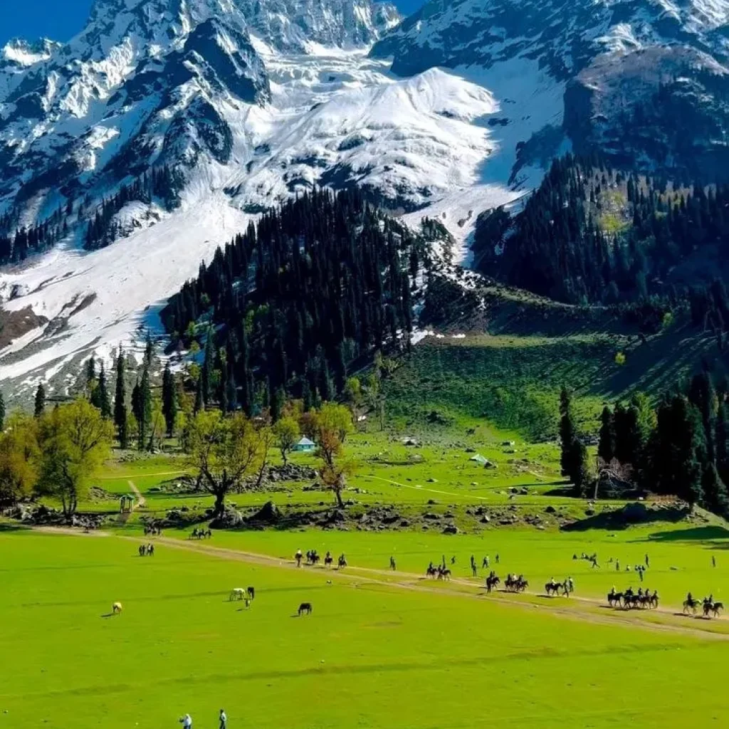 kashmir